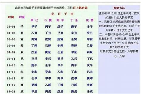 八字重量表2024|免費八字輕重計算機、標準對照表查詢、意義解說。